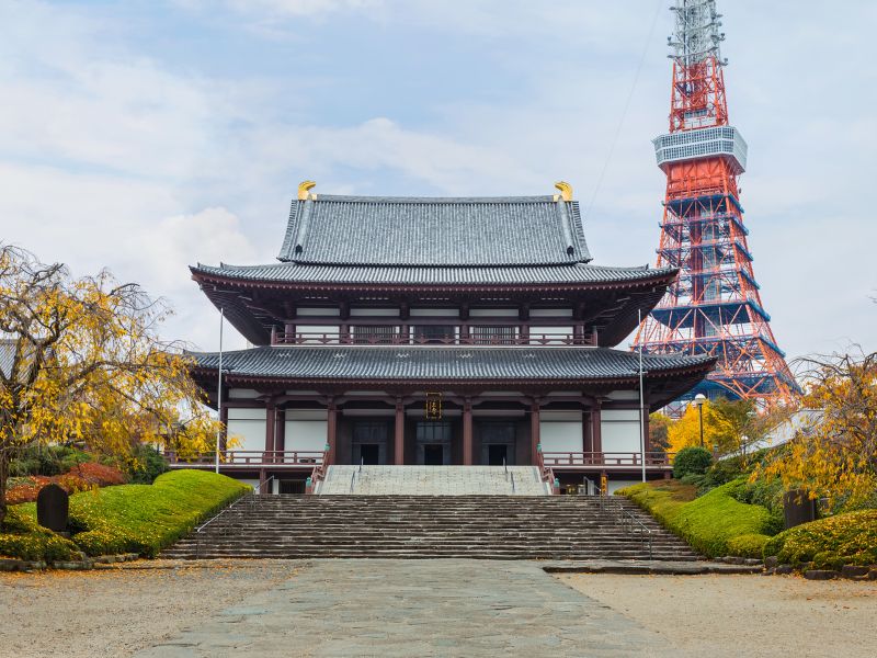 Reflections of Tokyo Tour