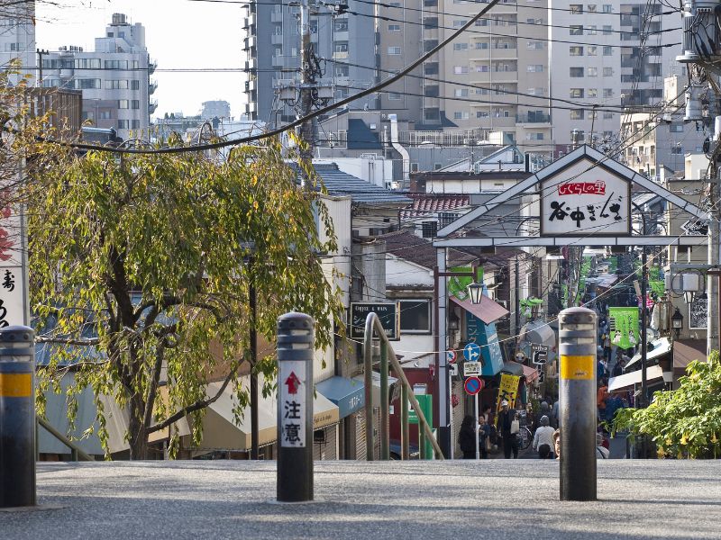 Reflections of Tokyo Tour