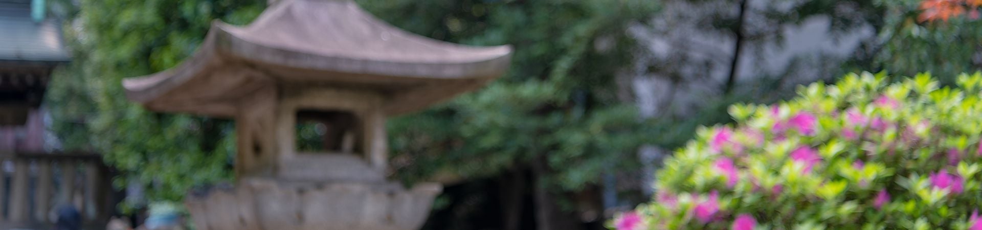 Image of Reflections of Tokyo Tour