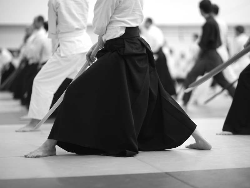 Samurai Kenbu Lesson (Shared)