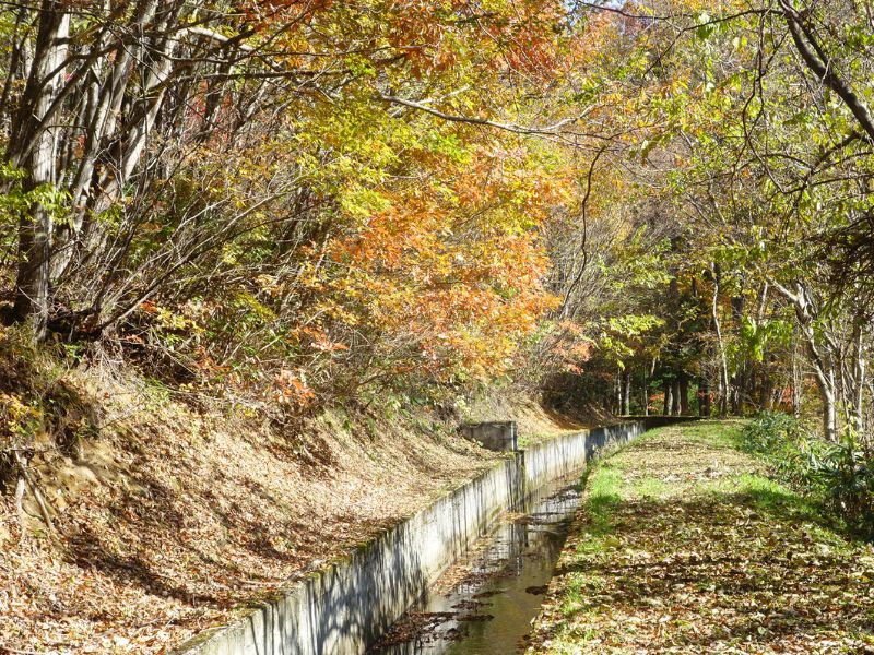 Shinano Cycling in the Alpine Countryside