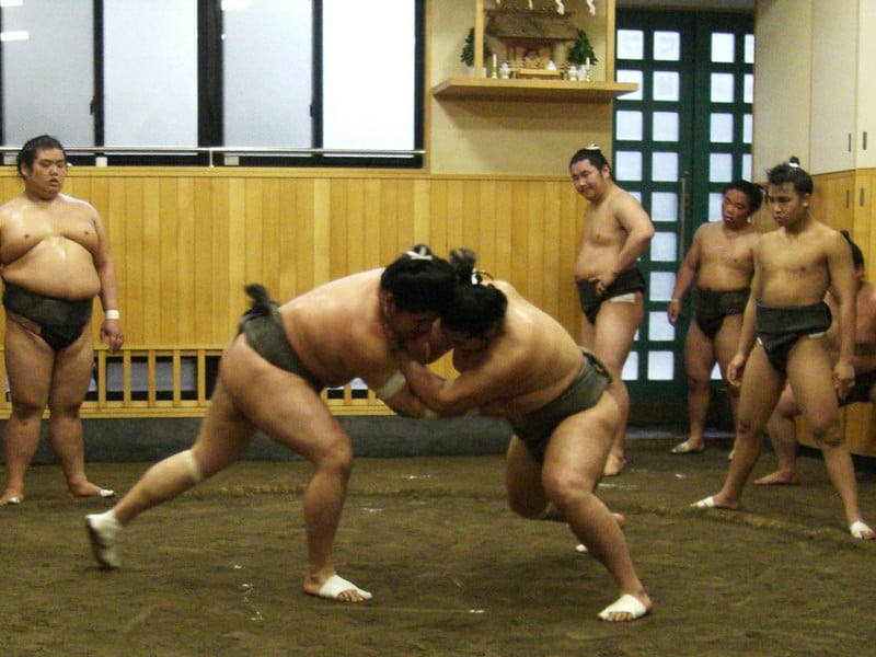 Sumo Morning Training Experience