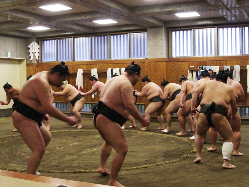 Sumo Training Experience