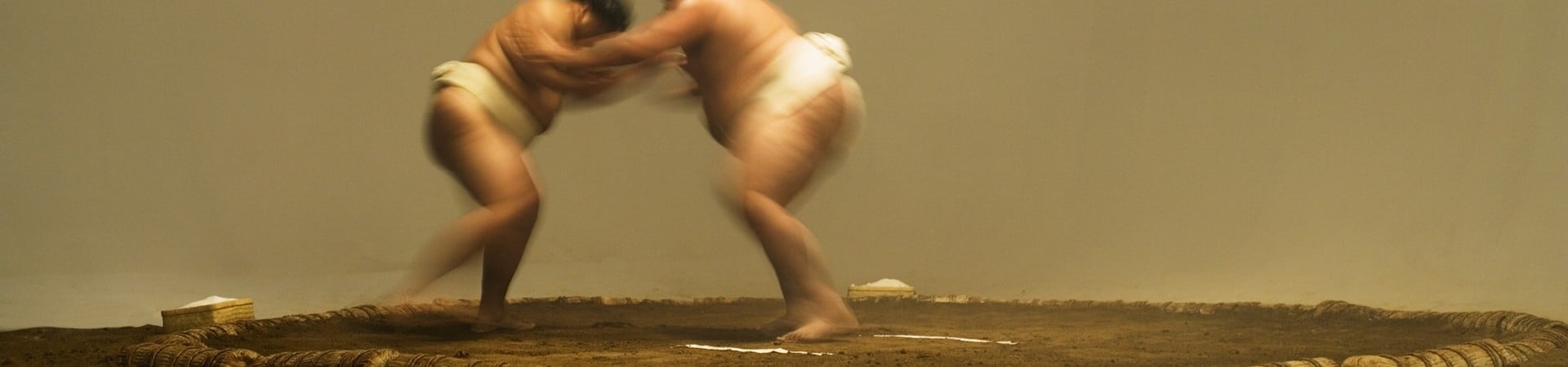 Image of Sumo Training Experience