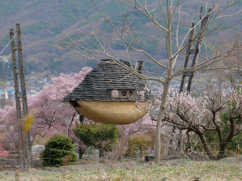 Suwa’s Ancient Shrines by E-Bike