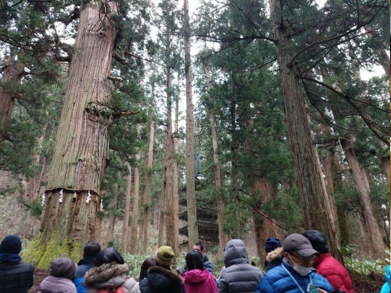 The Sacred Peaks of Yamagata Day trip from Sendai