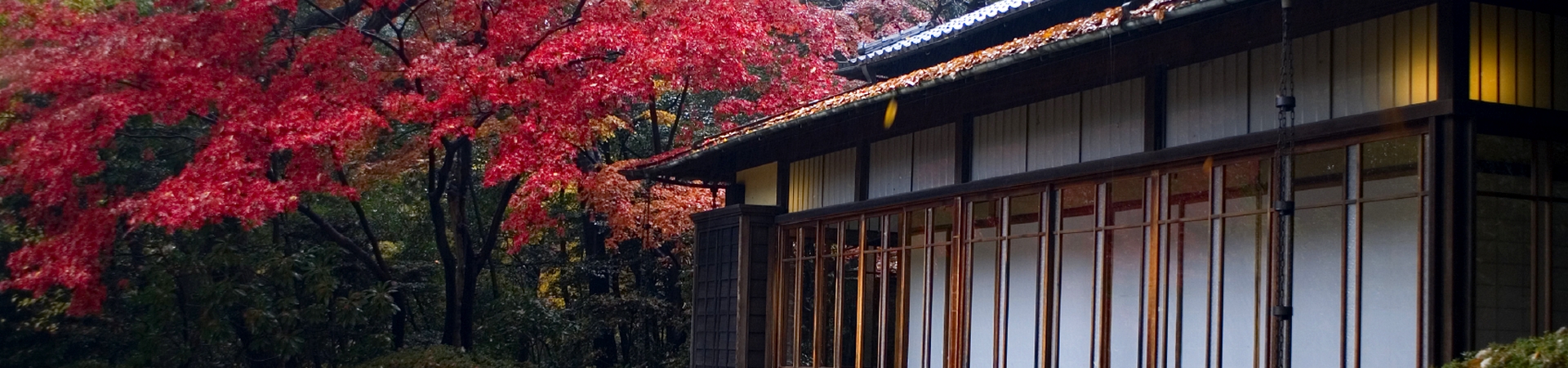 Image of Tokyo Hidden Gems Tour