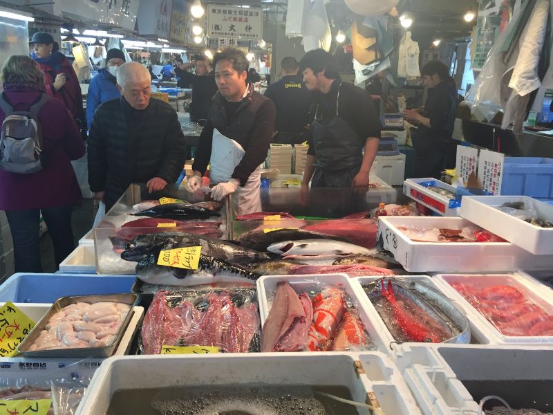 Tsukiji Morning Market Food Tour