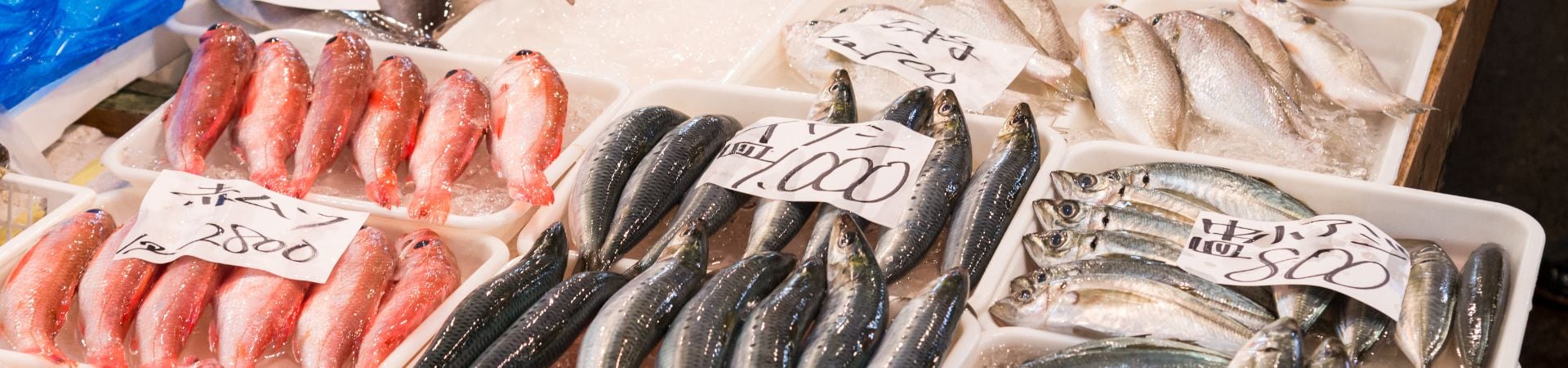 Image of Tsukiji Morning Market Food Tour