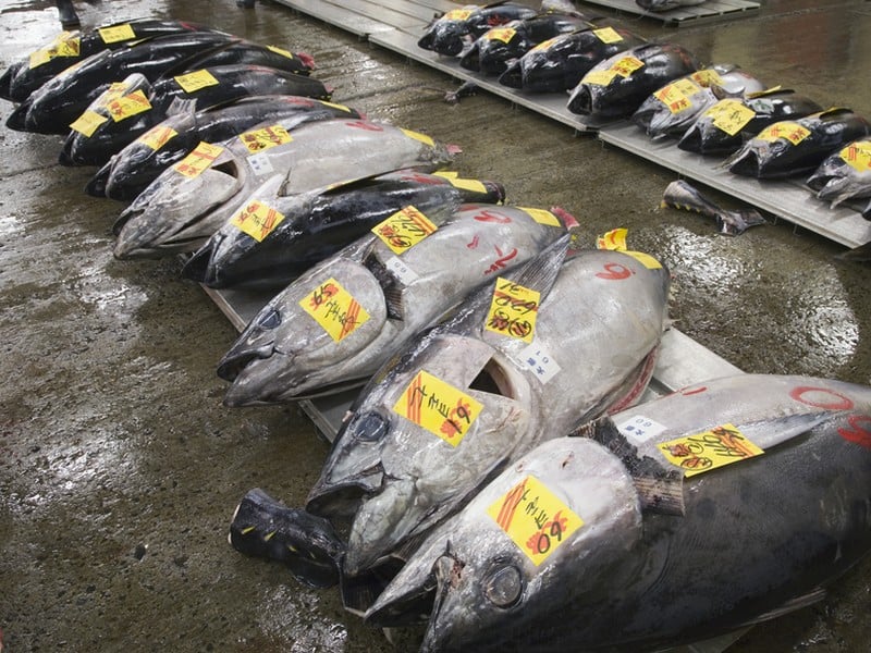 Tsukiji Outer Market Walk & Sushi-Making