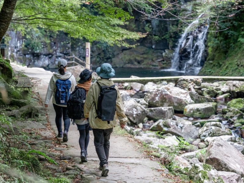 Waterfall Valley Hiking and Bento Making in Mie