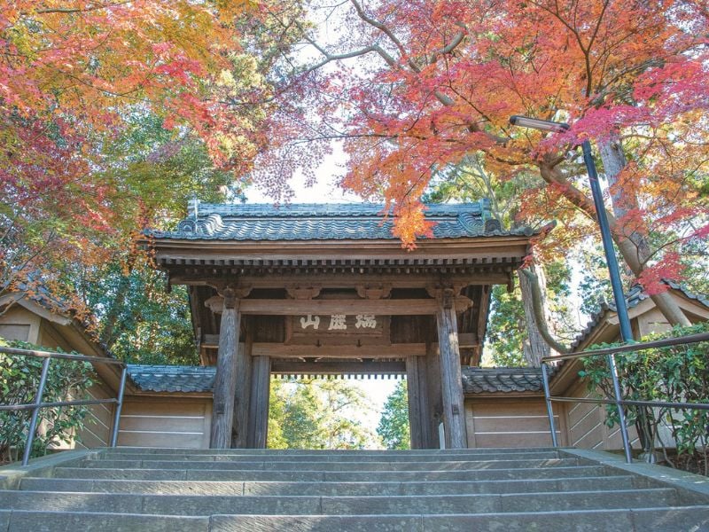 Zen Heart of Kamakura