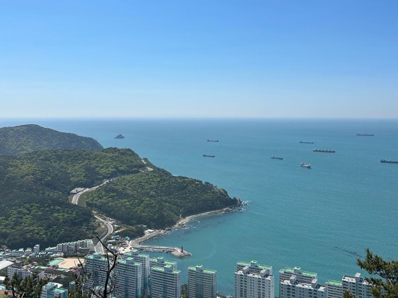 Busan Bongnaesan Hiking with Local Lunch (Join-in)
