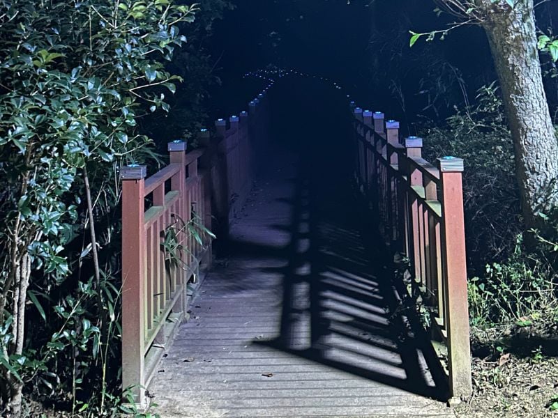 Busan Bongnaesan Night Hiking (Join-in)