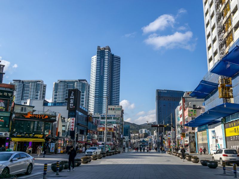 Busan City Tour & Coastal Trail Walk