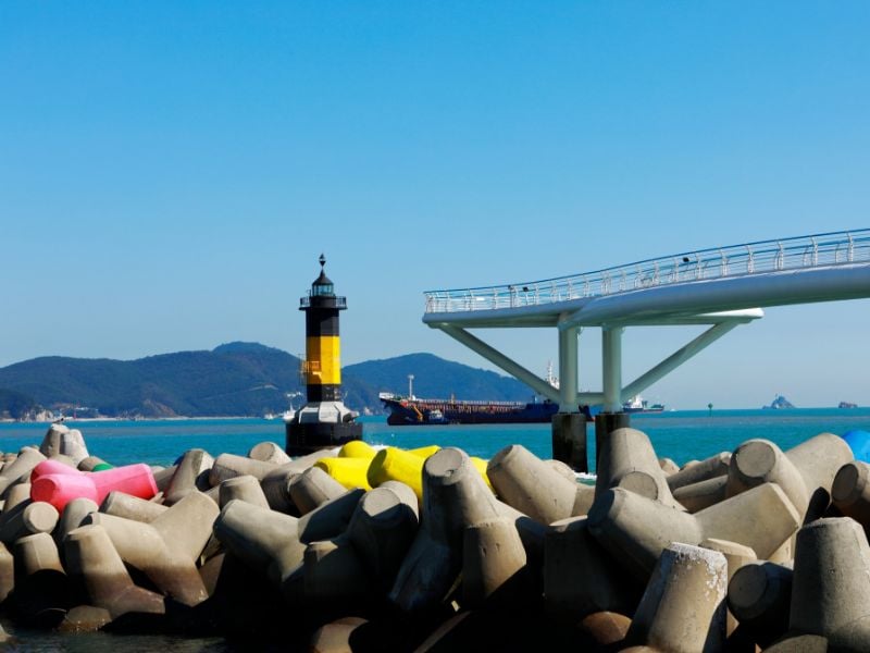 Busan City Tour & Coastal Trail Walk