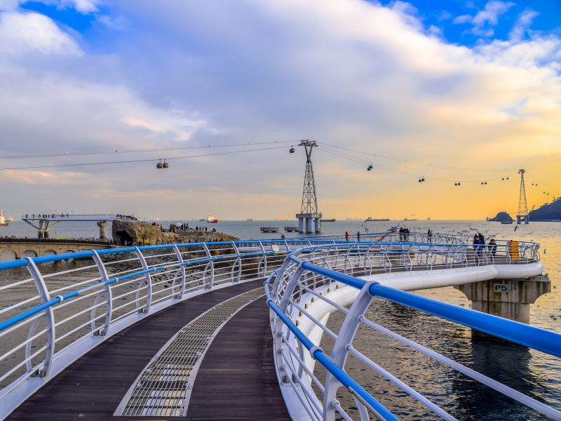 Busan City Tour with Cooking Class