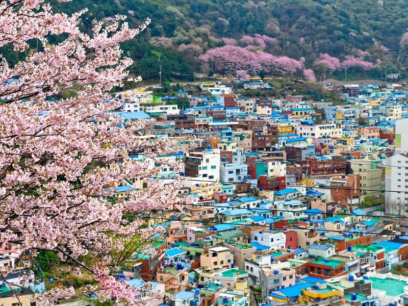 Busan Classic Highlights (Join-in Tour)