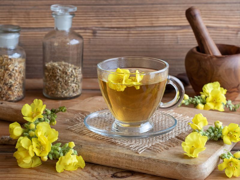 Busan Coastal Essence: From Yeongdo to Haeundae