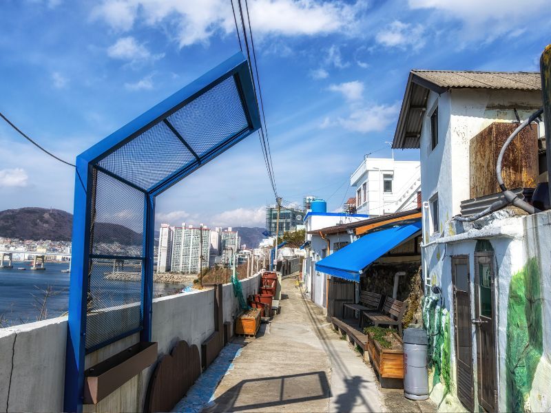 Busan Coastal Essence: From Yeongdo to Haeundae