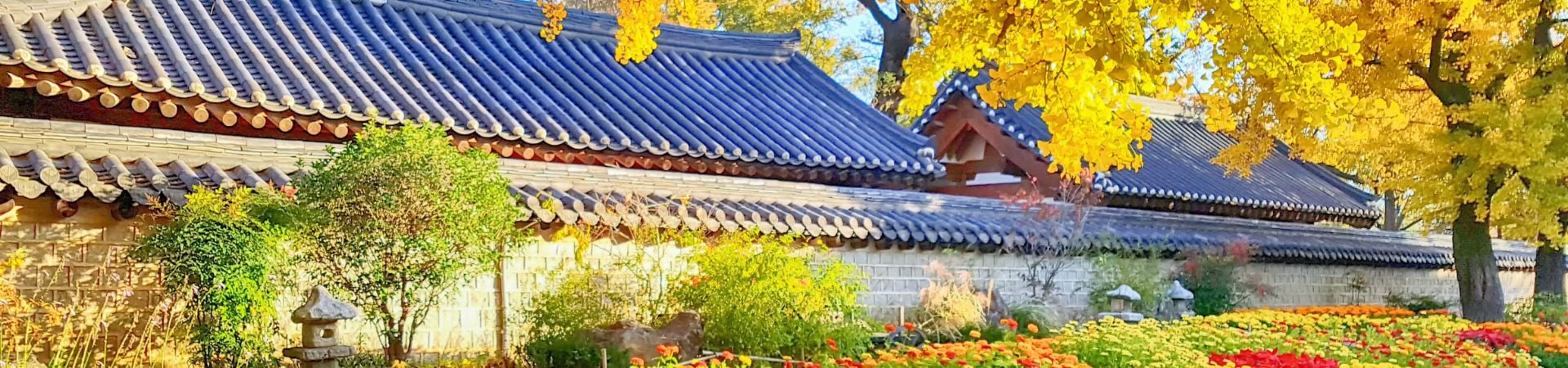 Image of Cook Like a Local in Jeonju