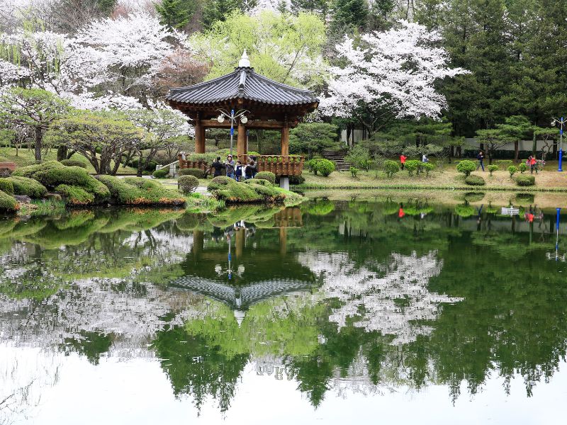 Culture and Amusement for Kids in Gyeongju