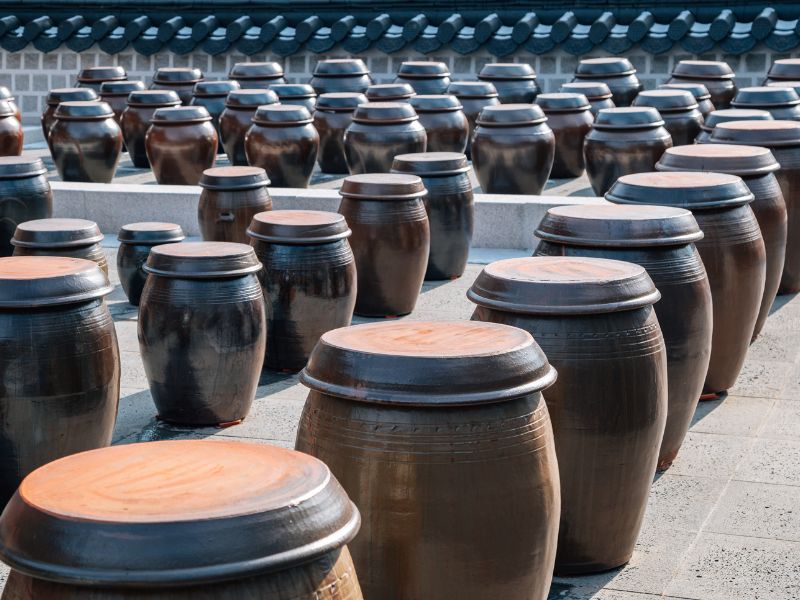 Discover Suwon & Korean Folk Village