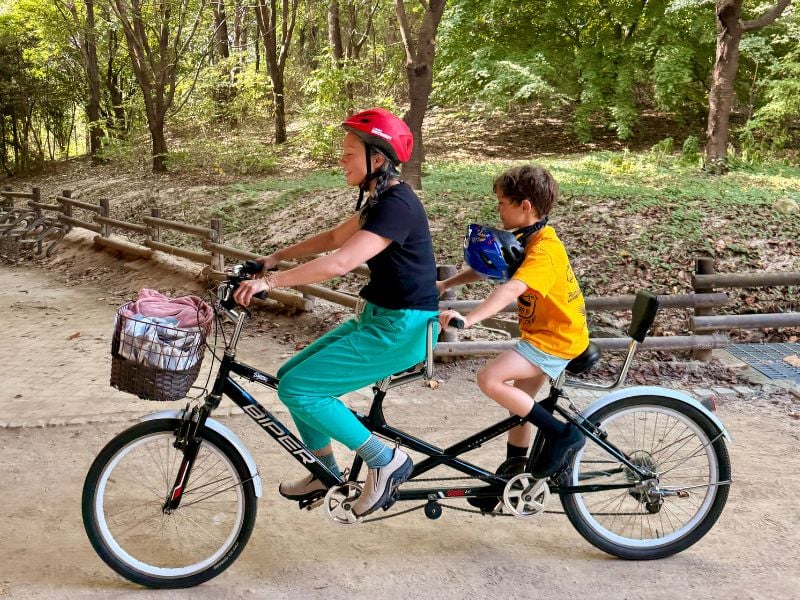 Explore Seoul Forest and Seongsu by Bike (PRIVATE)