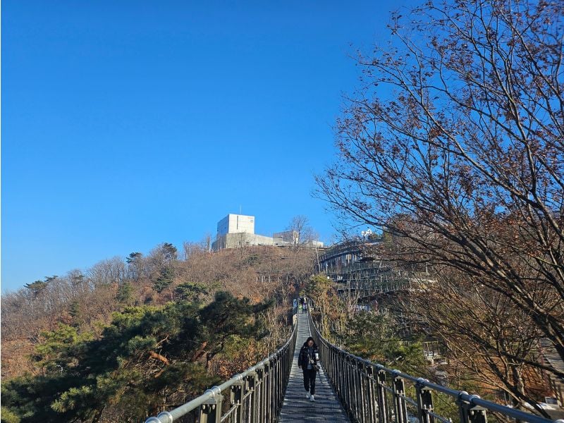 Extended Aegibong DMZ Full Day Tour