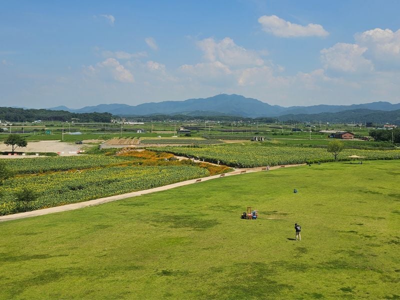 Extended Imjingak DMZ Full-Day Tour