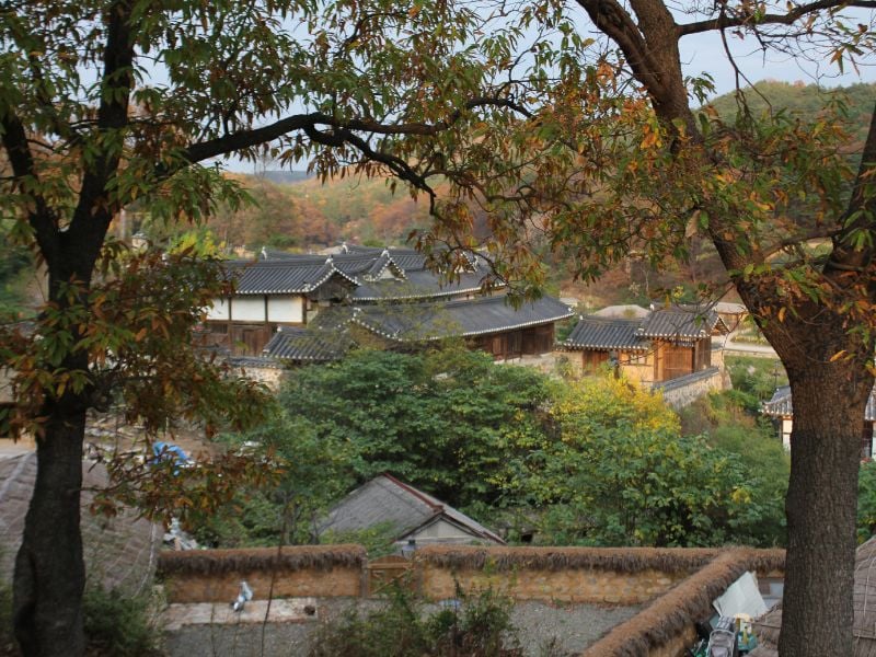 From Coastline to Tradition: Pohang & Yangdong