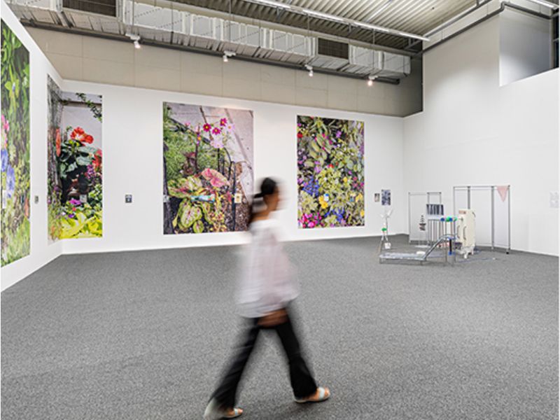 Gwangju: Nature and Artistic Heritage