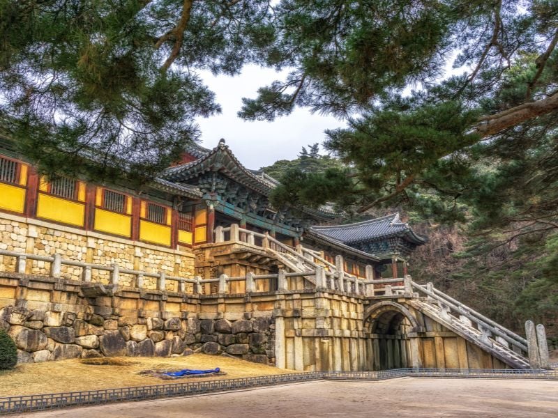 Gyeongju Heritage Discovery