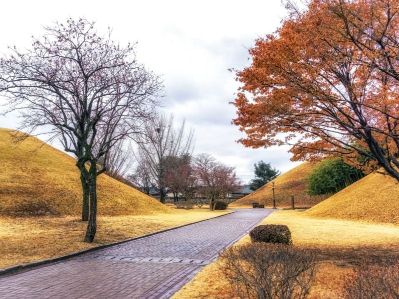 Gyeongju Heritage Discovery