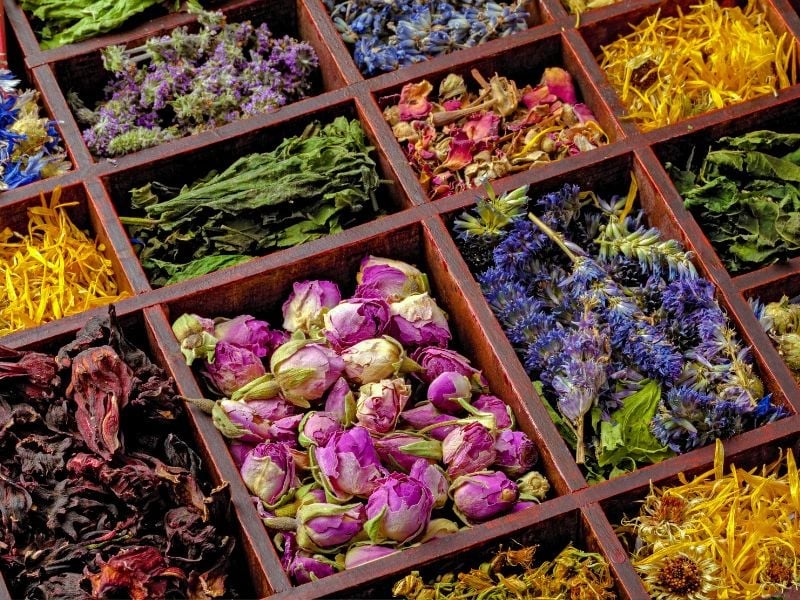 Healing with Flower Tea in Busan