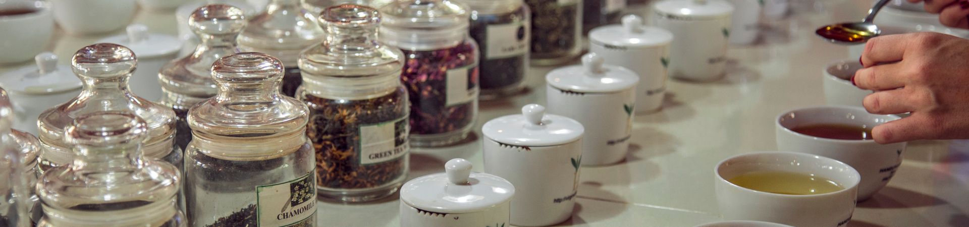 Image of Healing with Flower Tea in Busan