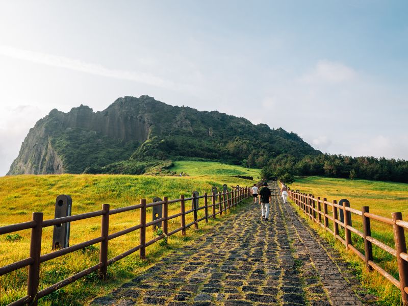 Jeju East Highlights Tour (Join-in)