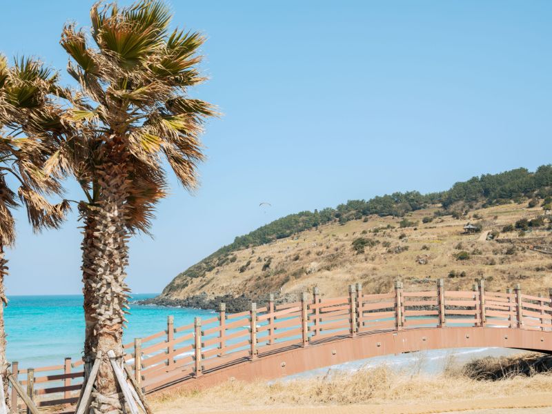 Jeju East Highlights Tour (Join-in)