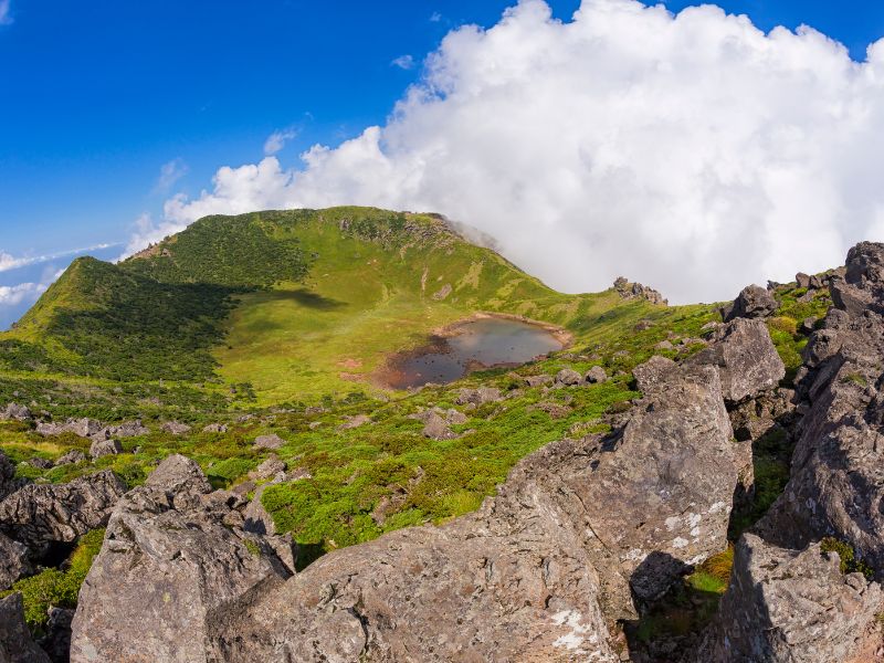 Jeju South & West Scenic Tour (Join-in)