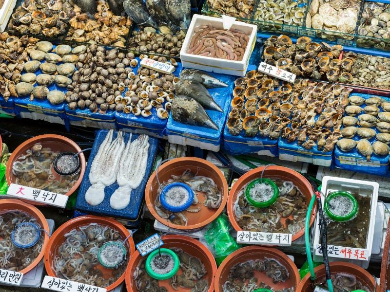 Jeju Volcano Adventure