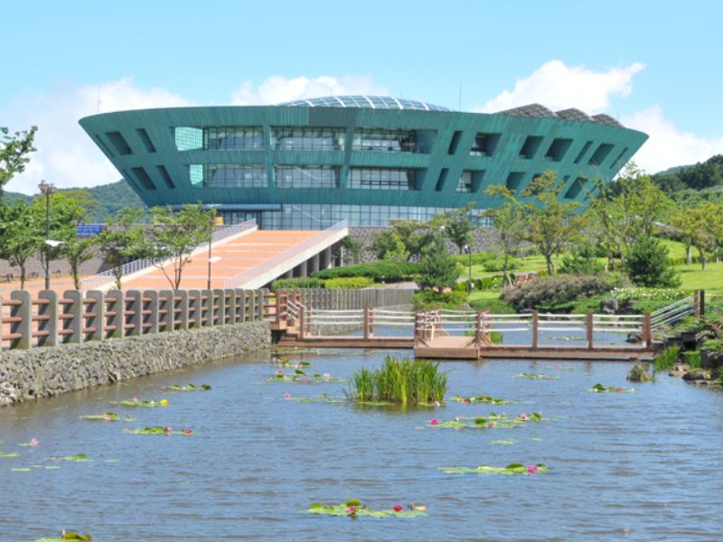 Jeju Volcano Adventure