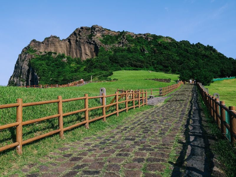 Jeju Volcano and Divers