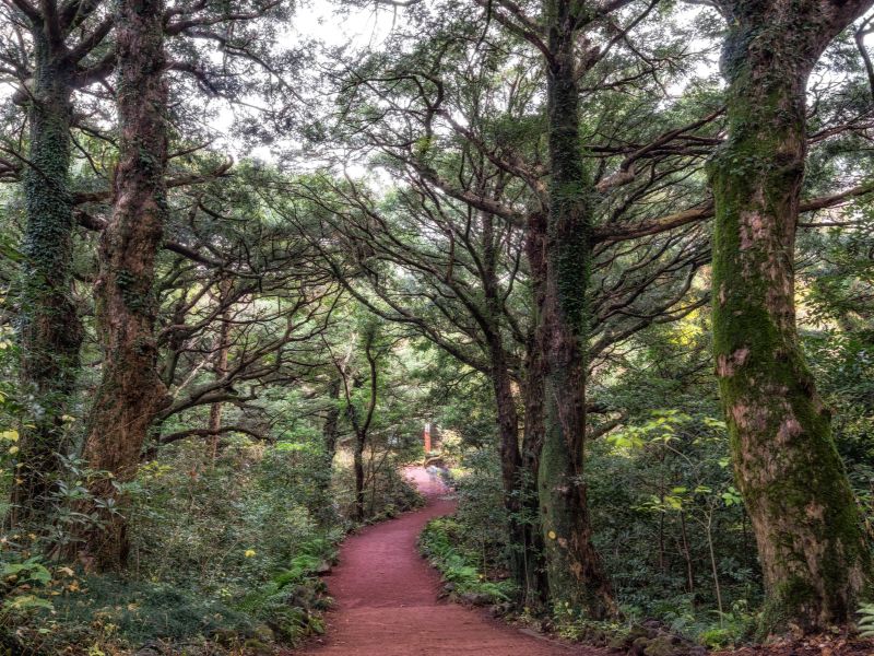 Landscapes and Cultural Gems of East Jeju