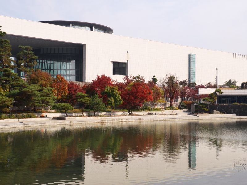 Lunch with a Local: Seoul’s Flavours and Culture