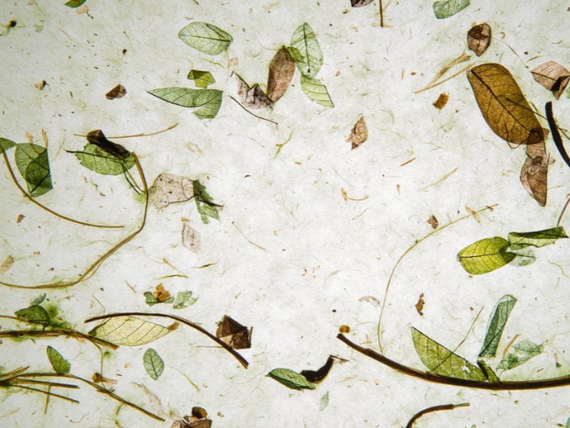 Paper Making and Markets for families