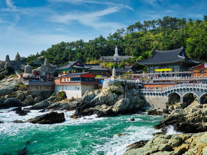 Seaside Charms of Busan & Makgeolli Making
