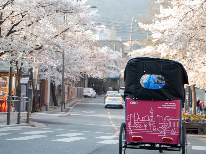 Seoul Landmarks Tour with Pedicab