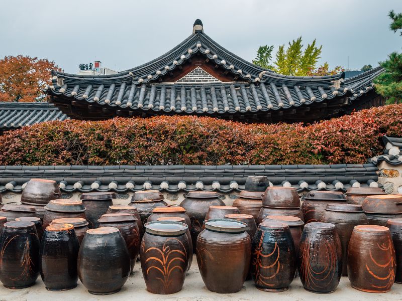 Seoul Tour by Public Transport to City Wall