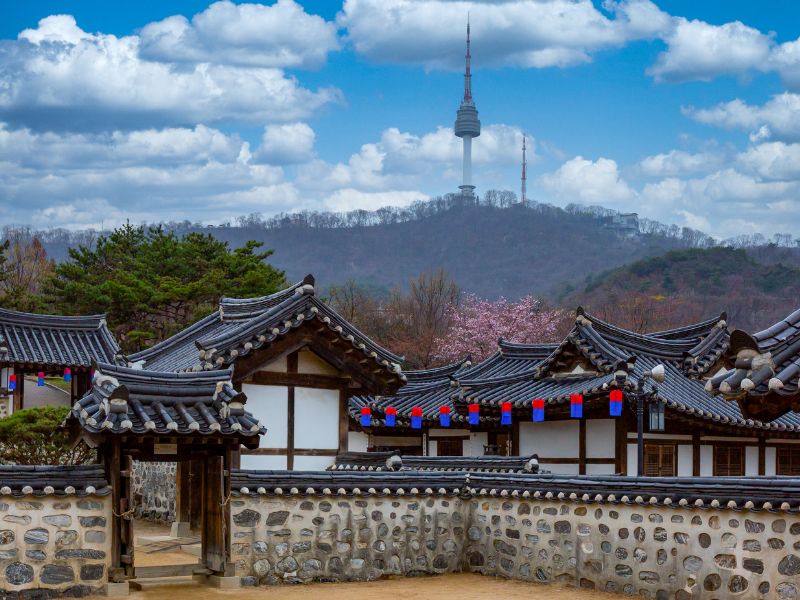 Seoul Tour by Public Transport to City Wall