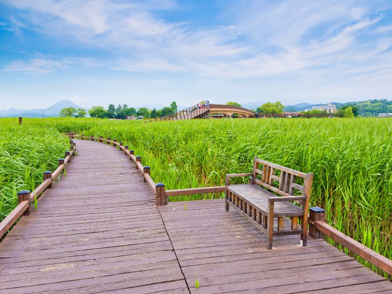 Suncheon Cultural and Nature Highlights